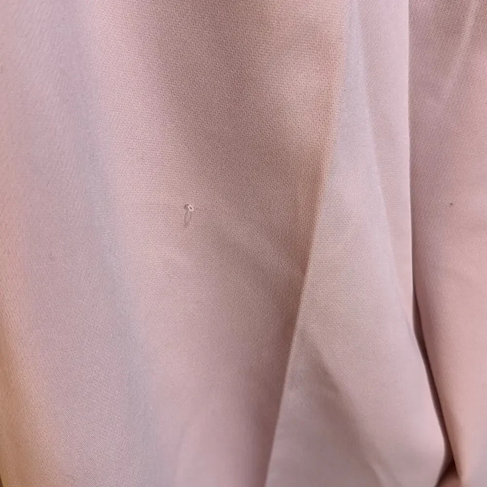 Zara Pink Pleated High Waist Trouser Pants Size XS